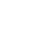 Shopify partner