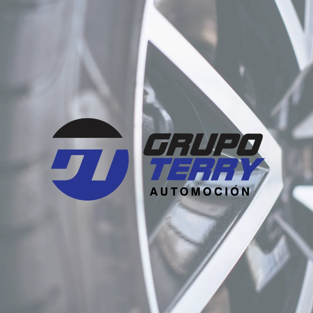 grupo terry - inficonglobal