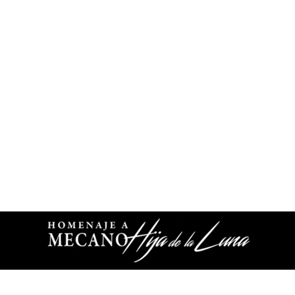 Portfolio Gira Hija de la Luna